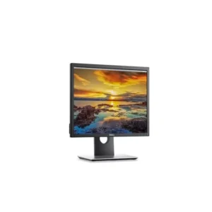 P1917S Widescreen LCD Monitor