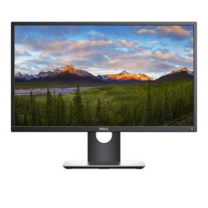 P2417H Widescreen LCD Monitor