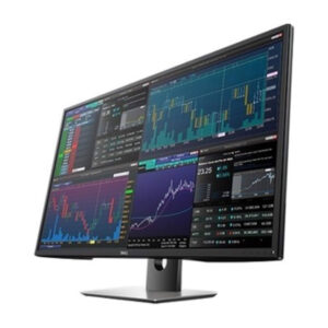 P4317Q Widescreen LCD Monitor